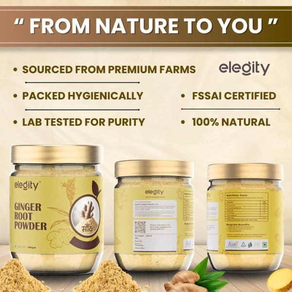 Elegity Ginger Root Powder 200 gm (Pack of 1) | No Added Preservatives GROCERY