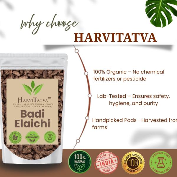 HarviTatva Badi Elaichi Whole (Black Cardamom) – 100% Natural GROCERY