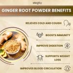 Elegity Ginger Root Powder 200 gm (Pack of 1) | No Added Preservatives GROCERY