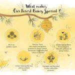 The Honey Shop Raw Organic Forest Honey, Wild, Unprocessed, Unheated  grocery