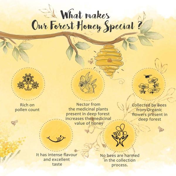 The Honey Shop Raw Organic Forest Honey, Wild, Unprocessed, Unheated  grocery