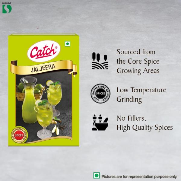 Catch Jal Jeera Masala, 100g GROCERY