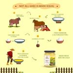 God Choice Organic Farms Pure A2 Desi Cow Ghee 500 ML| 100% Natural GROCERY