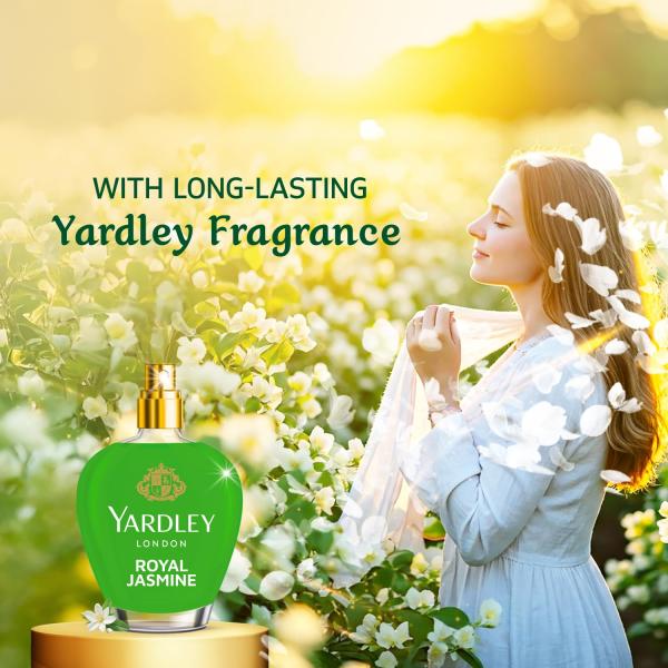 GROCERY Softouch Yardley Royal Jasmine 800+210 ml Fabric Conditioner | Long lasting fragrance for clothes