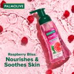 Palmolive Hydrating Foaming Raspberry Liquid Hand Wash, GROCERY