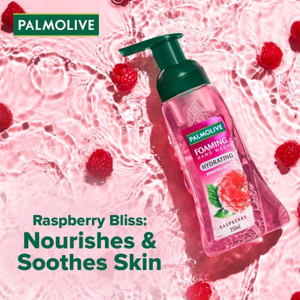 Palmolive Hydrating Foaming Raspberry Liquid Hand Wash, GROCERY