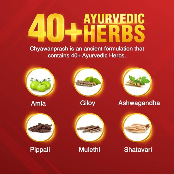 Dabur Chyawanprash - 2kg | 3X Immunity Action | With 40+ Ayurvedic Herbs | Helps Build Strength & Stamina | grocery