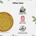 CARMEL ORGANICS Rosemary Leaves (100 Gram) With Spray Bottle GROCERY