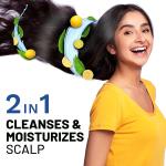 SESA Ayurvedic Anti Dandruff Shampoo With Neem, Lemon Helps Reduce Hairfall Controls Dandruff, 500Ml grocery