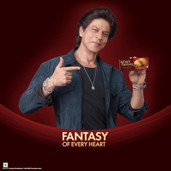 Sunfeast Dark Fantasy Choco Fills, 460g Original Filled Cookies with Choco Crème | Perfect Snack grocery