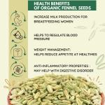 Pure Tree Certified Organic Fennel Seeds | | Glass Jar GROCERY