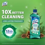 Lizol Fresh & Clean Bathroom Cleaner | Pine | 1L | 10X Better Cleaning grocery
