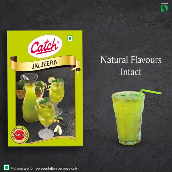 Catch Jal Jeera Masala, 100g GROCERY