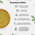 CARMEL ORGANICS Rosemary Leaves (100 Gram) With Spray Bottle GROCERY