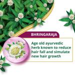 Himalaya Anti-Hair Fall Bhringaraja Shampoo, Reduces Hair Fall, Makes Hair Healthy, With Bhringaraja & Palasha,for men and women, 650ml grocery