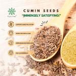 Pure Tree Certified Organic Jeera Seeds | 250 g | Cumin Seeds GROCERY