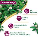 Himalaya Anti-Hair Fall Bhringaraja Shampoo, Reduces Hair Fall, Makes Hair Healthy, With Bhringaraja & Palasha,for men and women, 650ml grocery