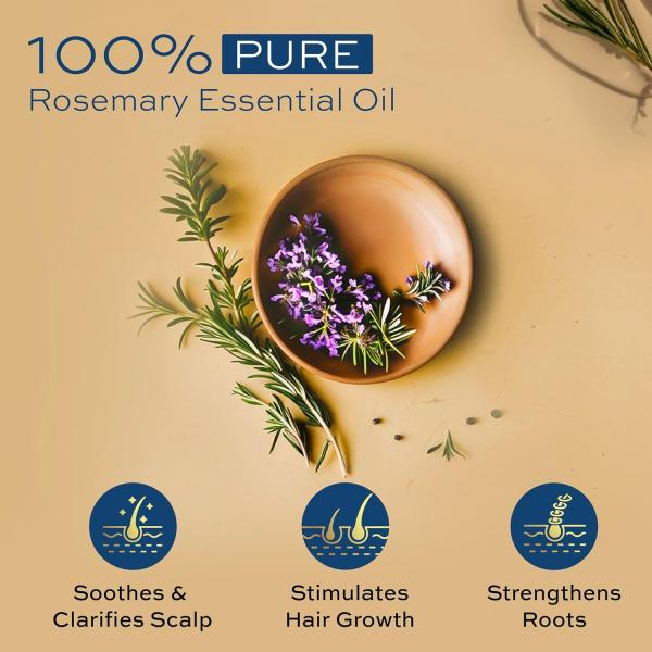 Parachute Advansed Rosemary Essential Oil | 100% Pure | for Thick & Voluminous Hair | GROCERY