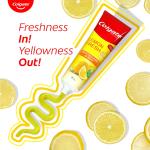 Colgate Lemon Fresh Gel Toothpaste | Tooth Paste Fights Yellowness of Teeth | Colgate Paste Toothpaste with New Fresh Flavor  GROCERY