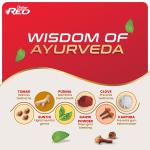 Dabur Red Paste - India's No.1 Ayurvedic Paste, Provides Protection Plaque Removal, Toothache, Yellow Teeth, Bad Breath- 800g (200gm*4) GROCERY