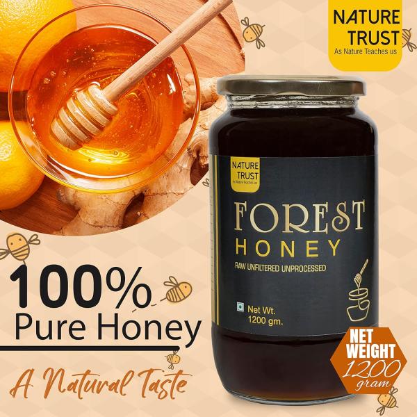 Nature Trust Raw Forest Honey,1200 Gram, Wild, Unprocessed, Unheated grocery