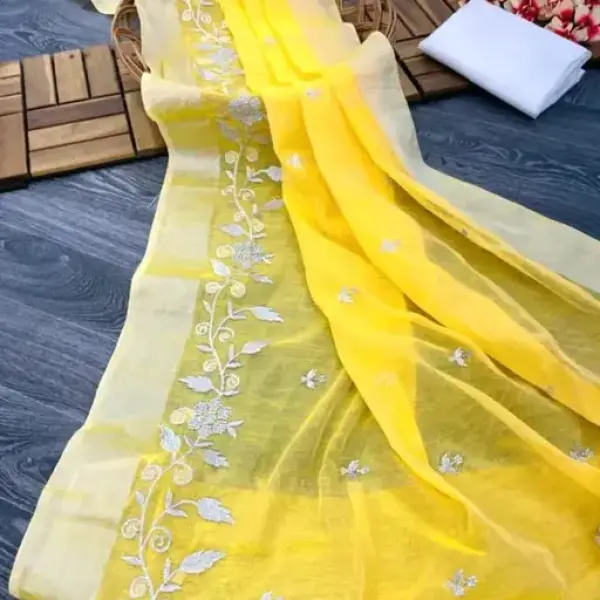 Women's Traditional Partywear Saree