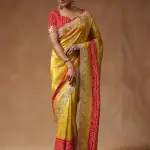 Tissue saree