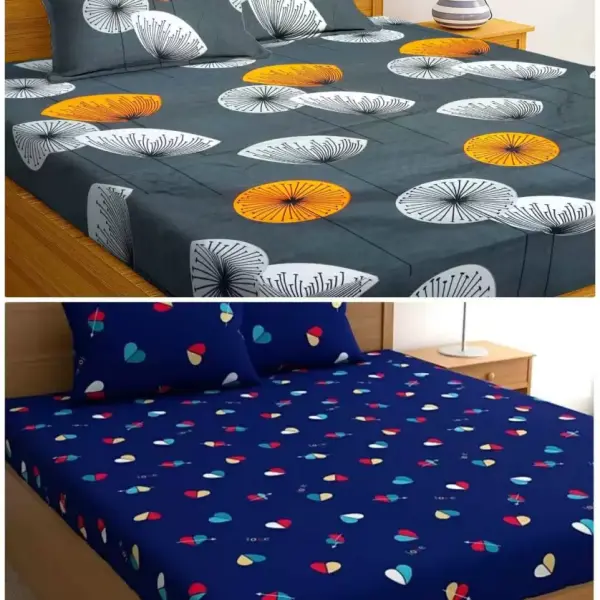Double King Bedsheet (Pack of 2, Multicolor)