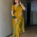 Tissue saree