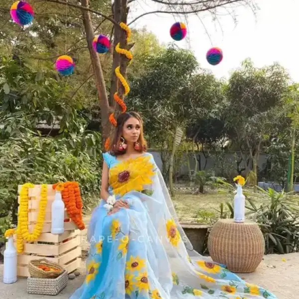 Organza Saree