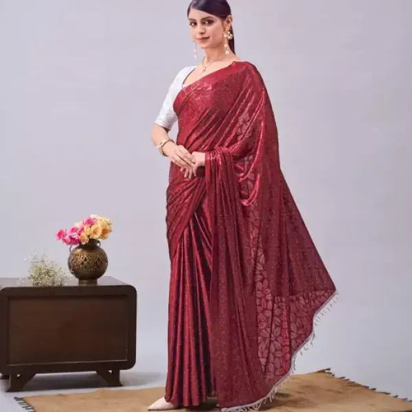Women's Stone Work Saree