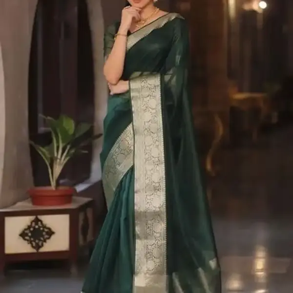 Organza Saree