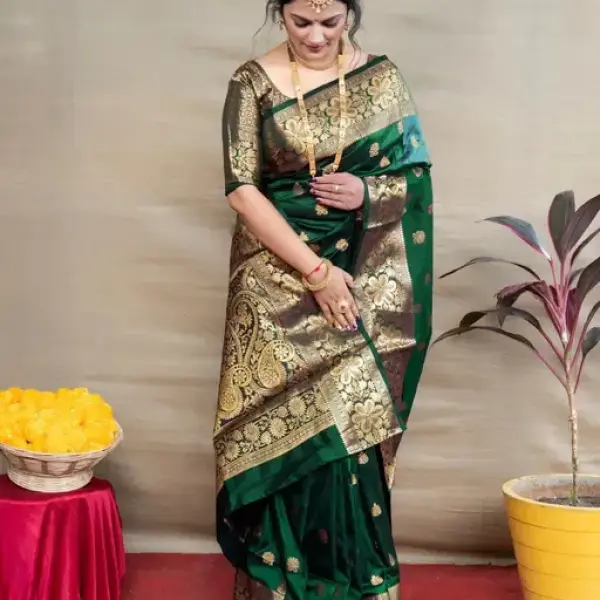 NEW TRADITIONAL SAREE
