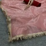  Beautiful Shining Nylon Net Saree