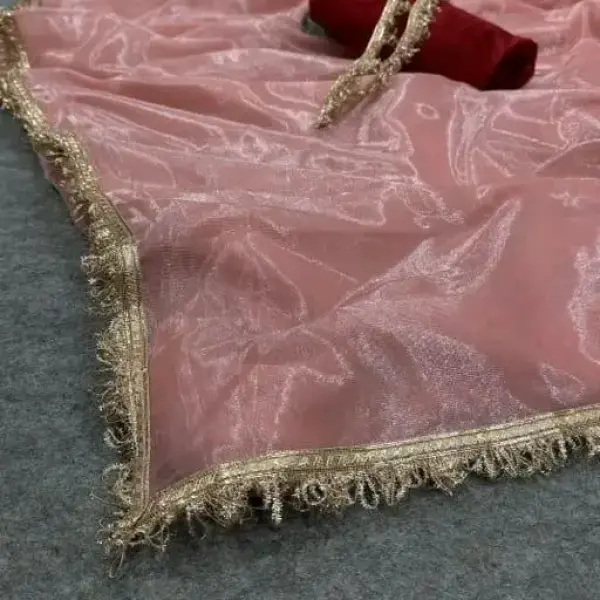  Beautiful Shining Nylon Net Saree