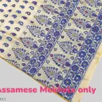  Traditional Assamese Art Muga Silk Fancy Mekhala Handloom Woven