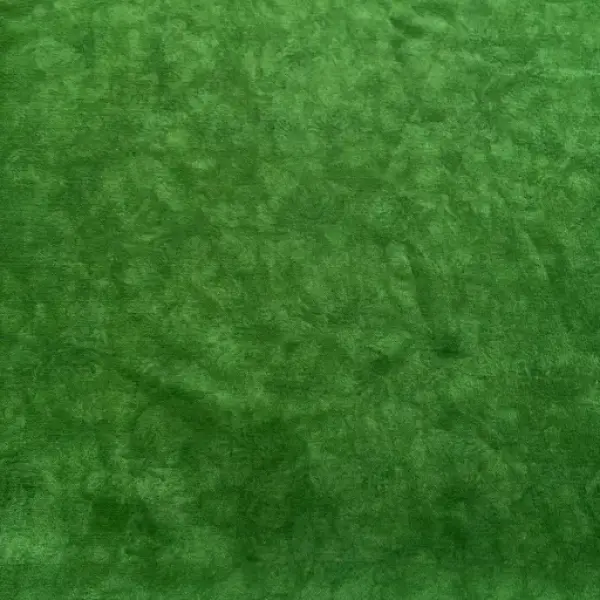  Georgette Printed Saree (With Lace)