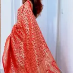  Marvellous Soft Banarasi Silk Saree