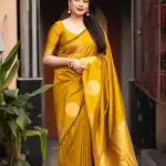 Fancy Exclusive Banarasi Silk Saree