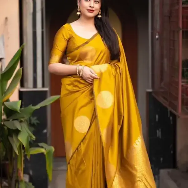 Fancy Exclusive Banarasi Silk Saree