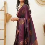 Designer Beautiful Banarasi Saree