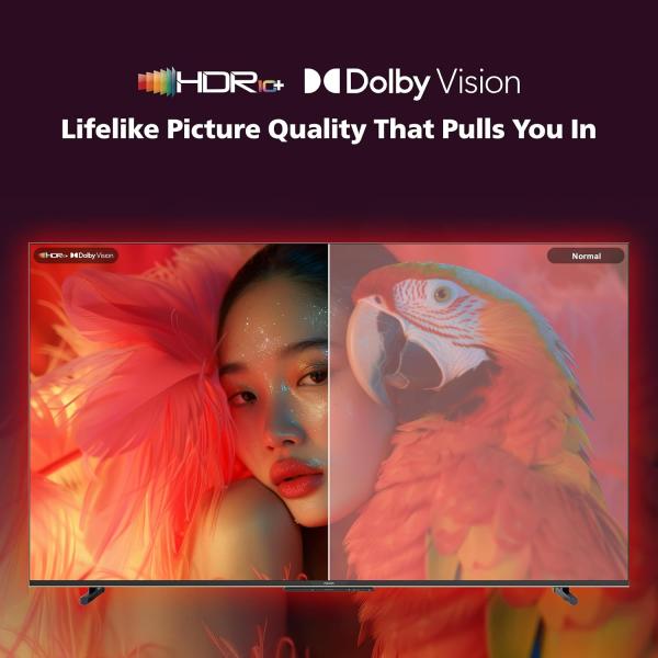 Philips 165 cm (65 inches) 8100 Series 4K Ultra HD Smart QLED Google TV 65PQT8100/94