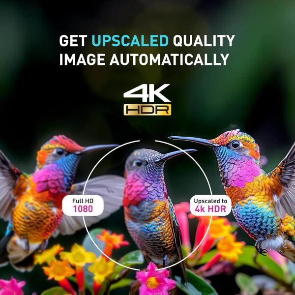 Panasonic 127 cm (50 inches) 4K Ultra HD Smart LED Google TV TH-50PX660DX (Black)