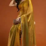Tissue saree