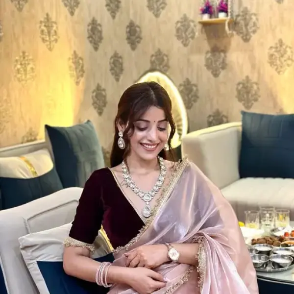  Beautiful Shining Nylon Net Saree