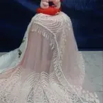 Embroidery Work Net Saree