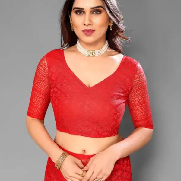  Designer Net Saree