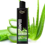 QUAT Aloe Vera hair shampoo for intensive moisture for dry hair  (250 ml)