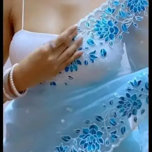  BEAUTIFUL NET FABRIC FLORAL EMBROIDERY WORK SAREE