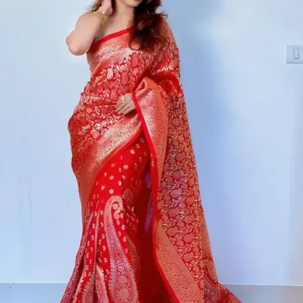  Marvellous Soft Banarasi Silk Saree